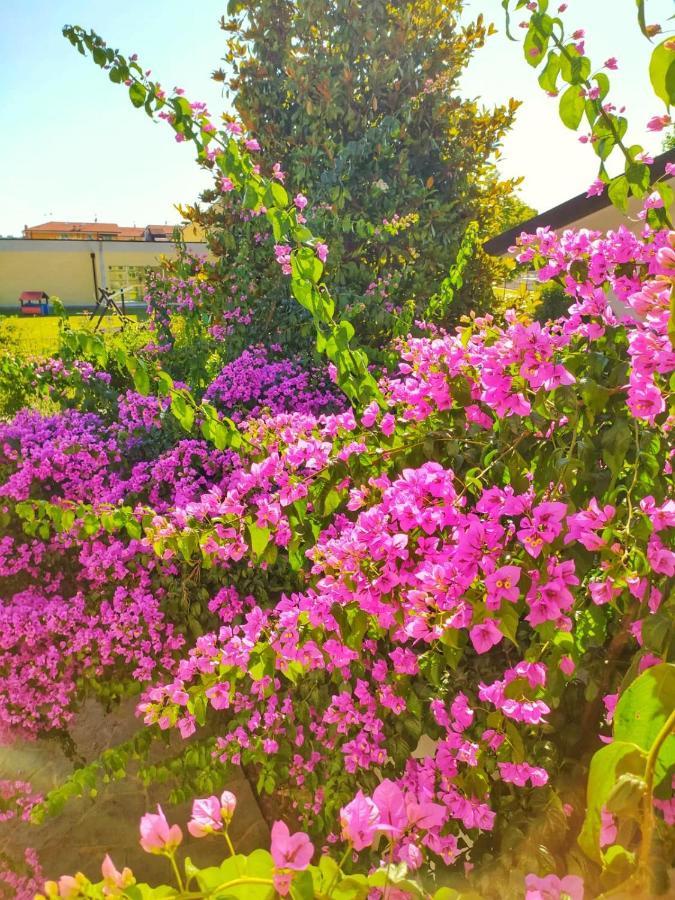 B&B Villa La Bouganville Камайоре Экстерьер фото